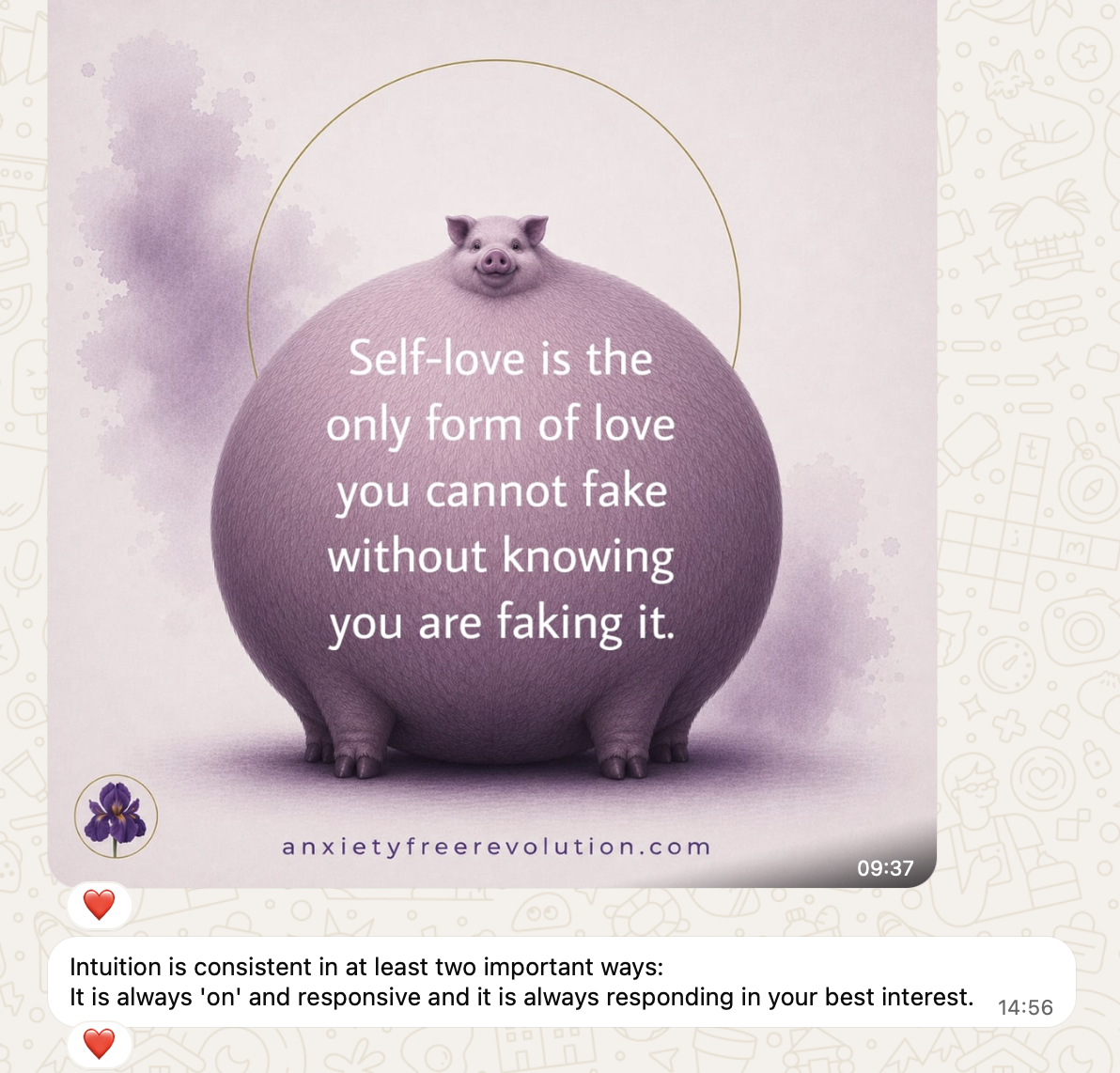 Example WhatsApp post featuring a pink pig, the self-love quote, and the accompanying message